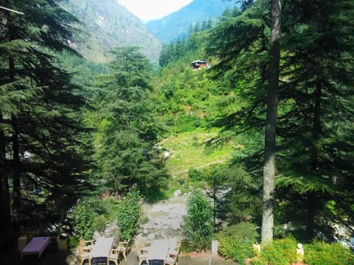 Hotel Deep Forest Kasol Eksteriør billede
